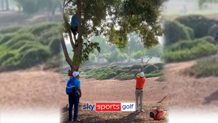 Joost Luiten lost his driver up a tree and then lost two more clubs trying to retrieve it during the final day